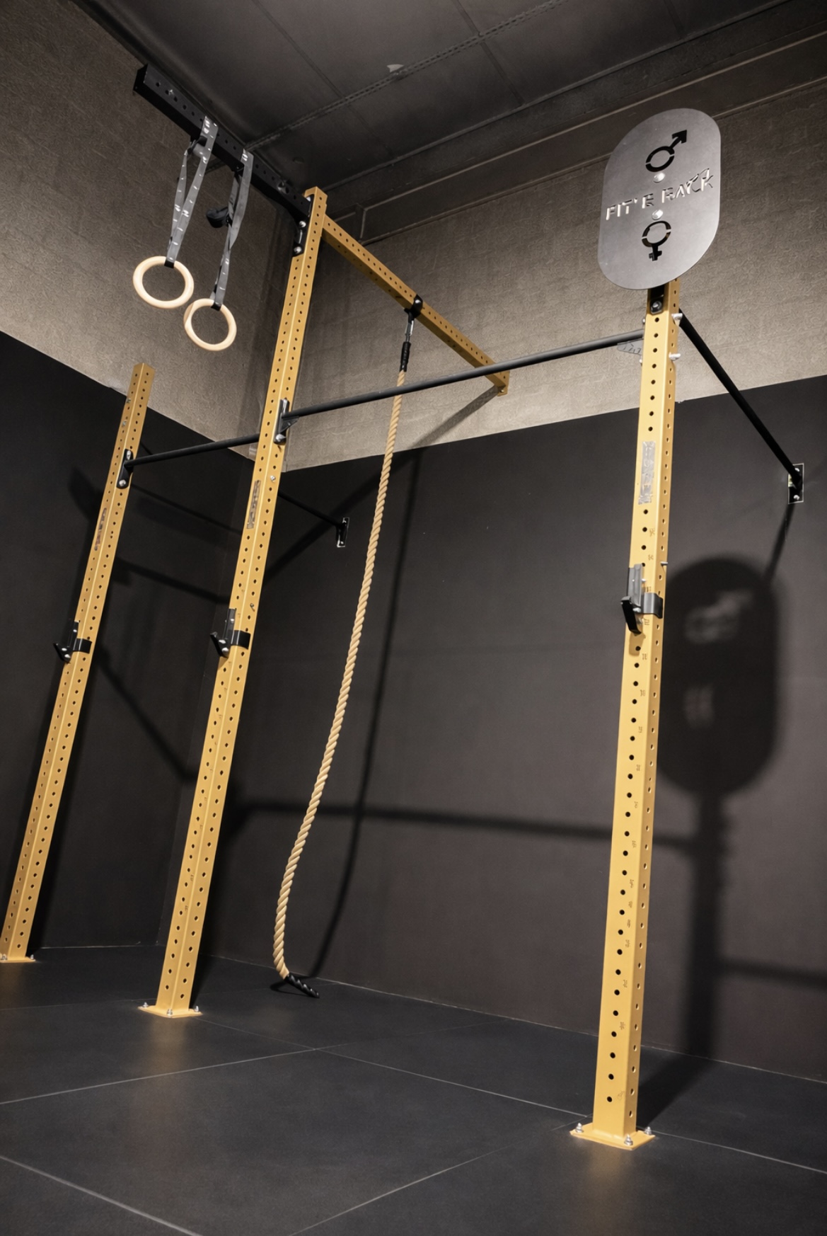 Anneaux & Gymnastique